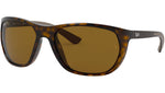RB4307 710/83 light havana