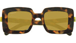GG1718S 002