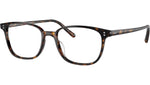 Maslon OV5279U tortoise