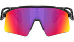 Stunt Wing OO9519 01