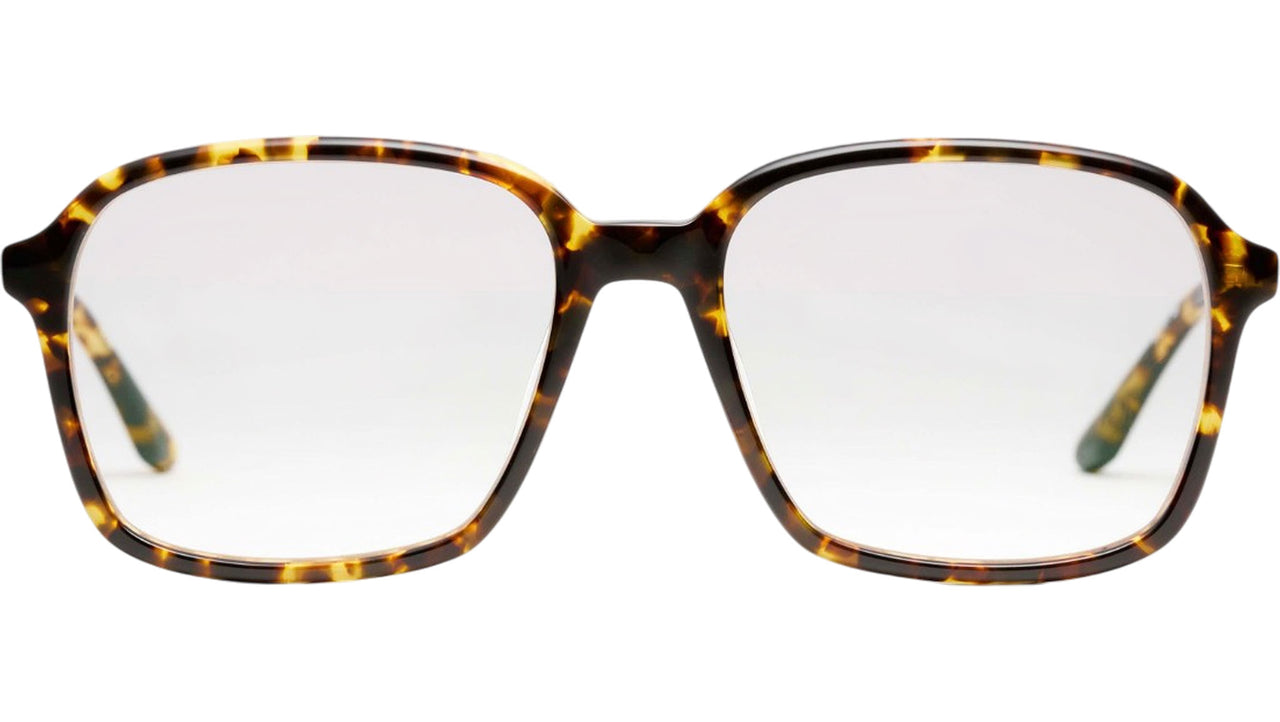 Marguerite Tortoise