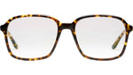 Marguerite Tortoise