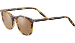 Arlie SS483 Tortoise