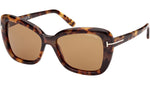 Maeve FT1008 55J Tortoise