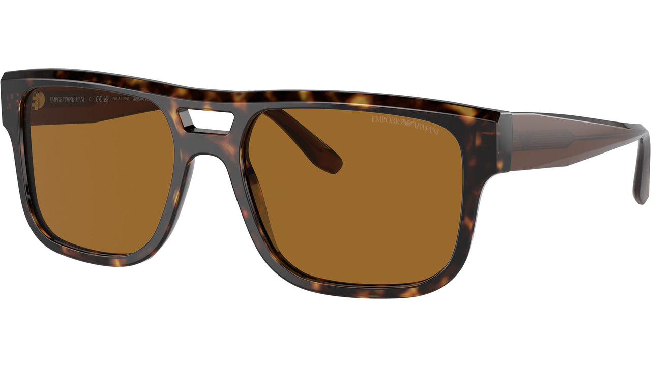 EA4197 587983 Tortoise