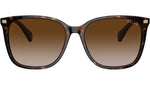 RA5293 50033B Dark Havana