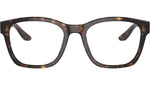 AR 7229 5879 Tortoise