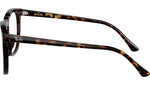 RB2210V Optics 2012