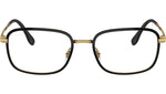 RB6495 Optics 2991