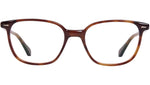 Barney 6600 2 Tortoise