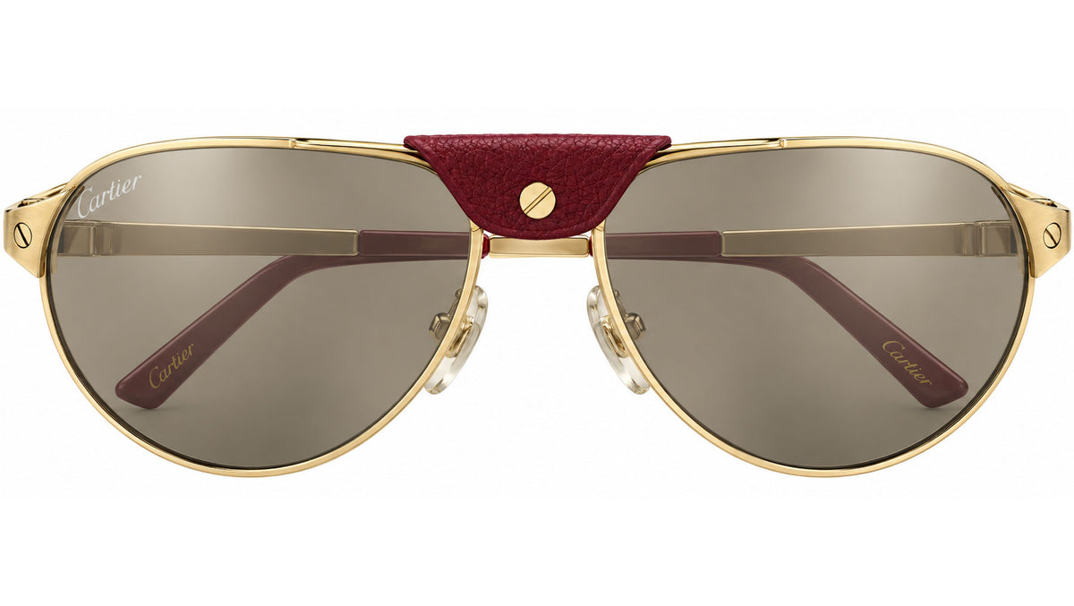 Cartier Santos Dumont T8200950