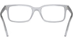 RB5445 Optics 8225