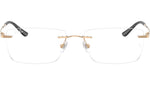 RB8781D Optics 1248