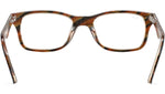 RB5228 Optics 5913