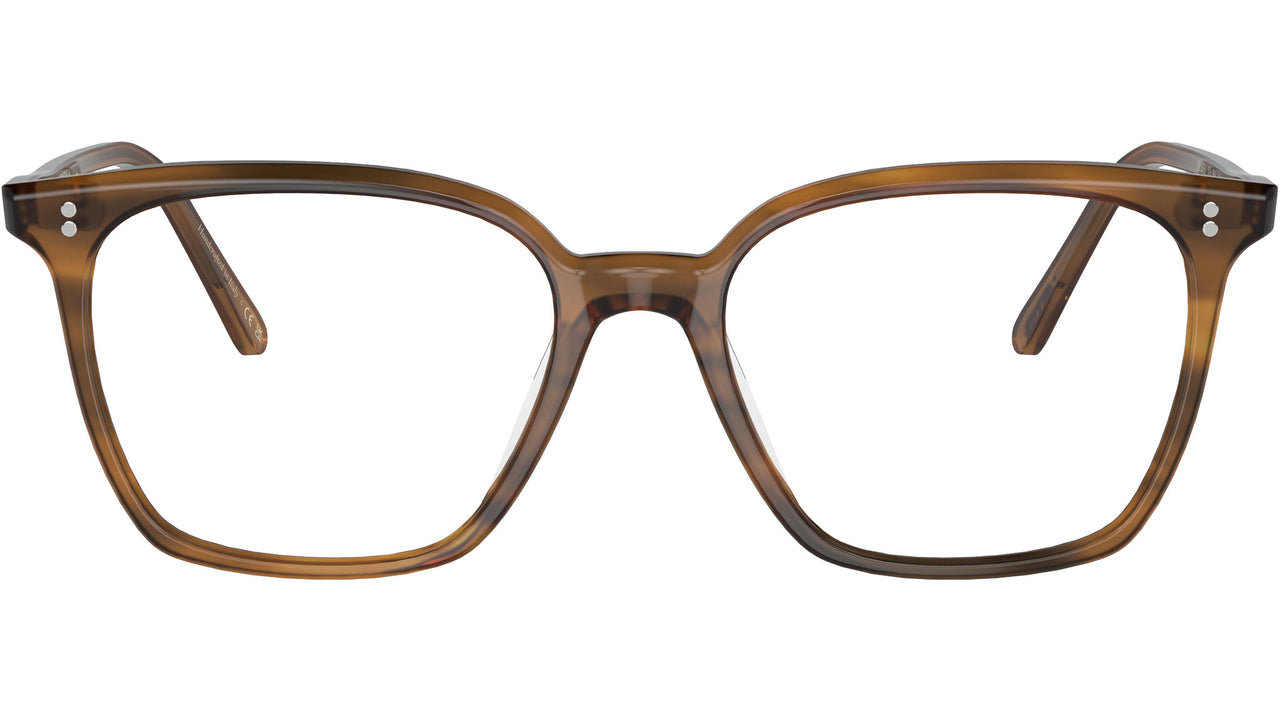 Rasey OV5488U 1011 Raintree
