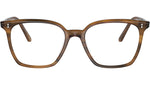 Rasey OV5488U 1011 Raintree