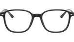 Leonard Optics RB5393 2000