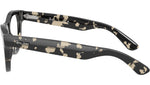 RB5510 Optics 8117