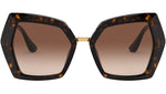 DG 4377 502/13 tortoise