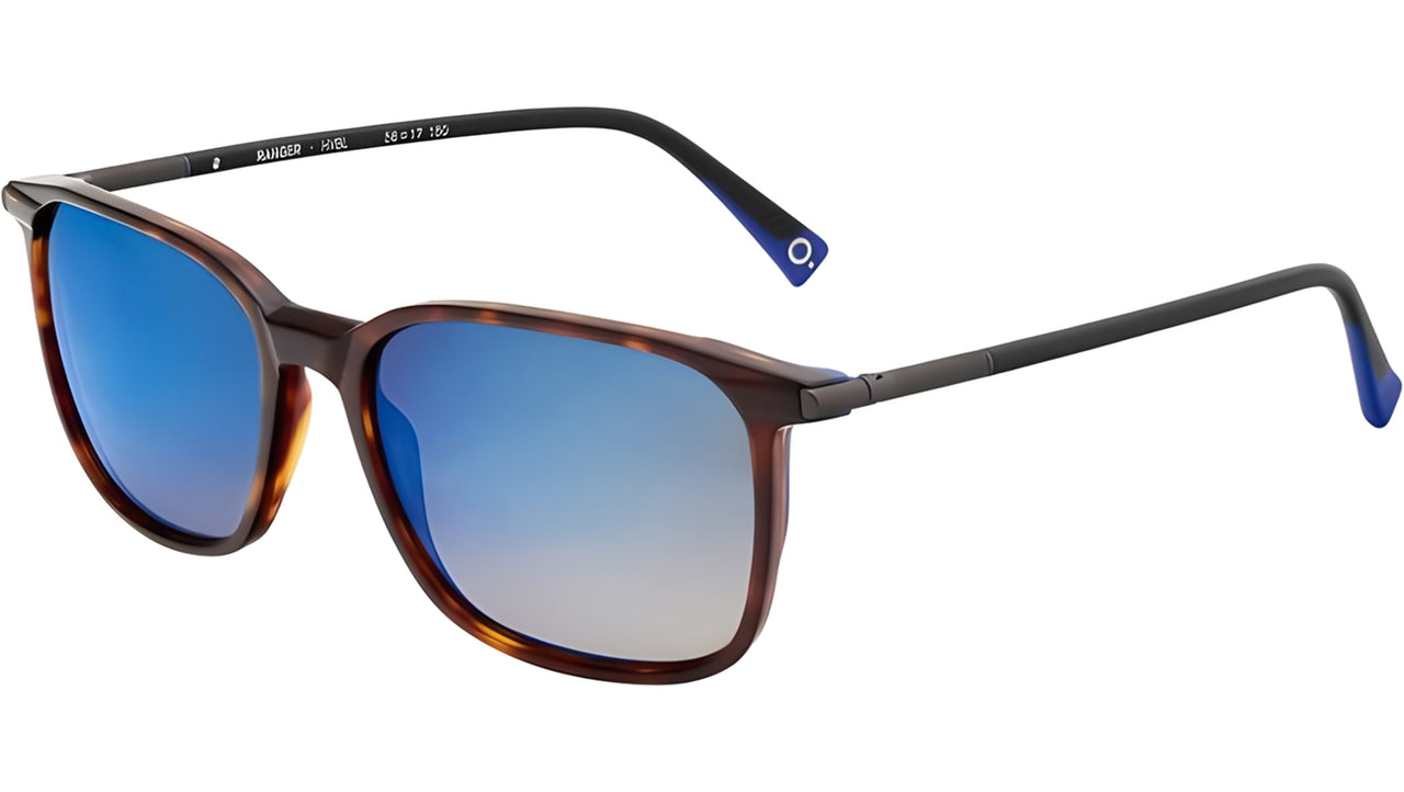 RANGER HVBL Tortoise