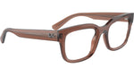 Chad Optics RB7217 8261