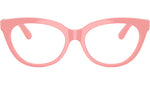 DX 5005U 3098