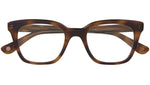 El Rey Spotted Brown Shell