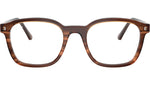 RB5460 Optics 8455