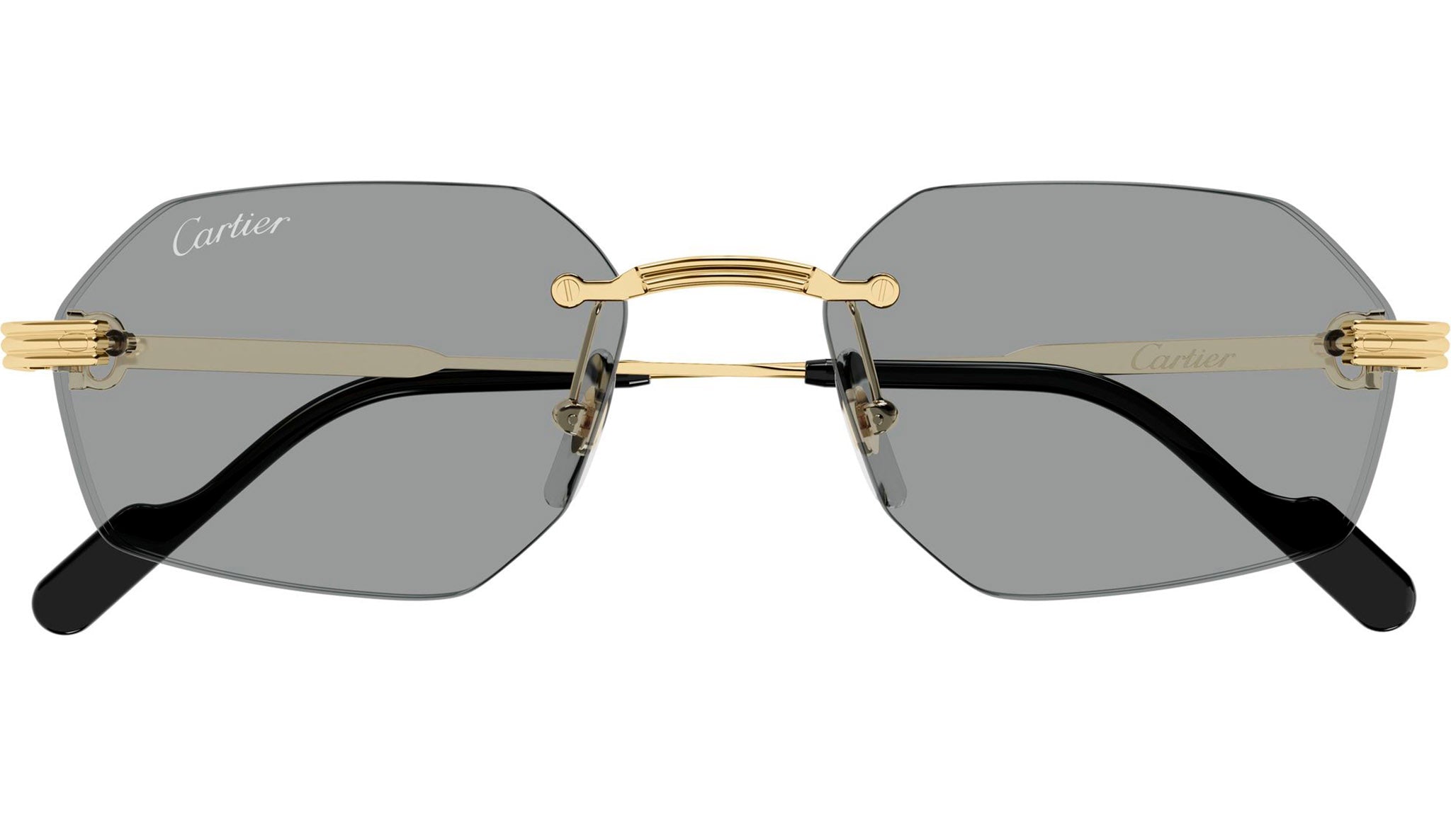 Cartier CT0550S 004 Sunglasses Shiny Platinum Green - eye-oo.com