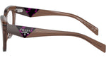 PR A06V 17O1O1 Brown