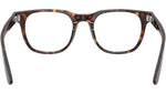 RB5461D Optics 2012