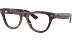 RB5510 Optics 2012