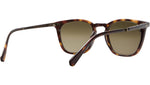 Getty II S Honu Tortoise