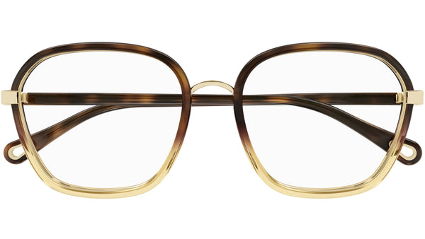 Chloe CH01230 Womens Plastic Eyeglass Frame 002 Havana 50-18 Italy Chloe Sunglasses IZIA CH0300S 002 main image 4