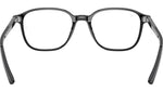 Leonard Optics RB5393 2000