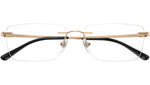 RB8781D Optics 1248
