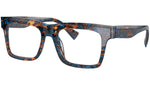Demetre 3114 002 tortoise