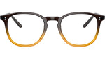 Finley 1993 OV5491U brown