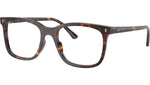 RB5446 Optics 2012