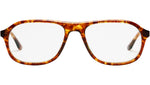Paul Bekko Tortoise