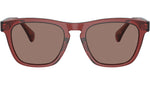 R-3 OV5555SU 178653 Brick