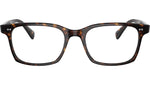 Nisen OV5446U dark tortoise