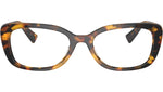 MU 07VV VAU1O1 Tortoise