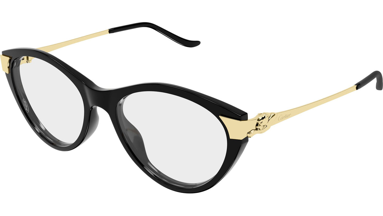CT0676O 001