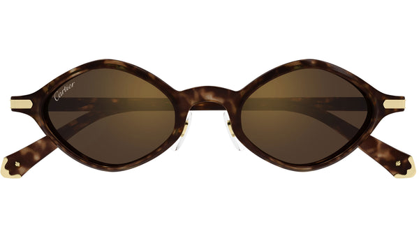 Cartier CT0546S-005 Sunglasses Havana Brown Acetate Cartier CT0546S 005 Sunglasses Brown Havana Brown - eye-oo.com main image 4