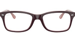 RB5228 Optics 8120
