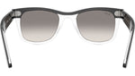 Wayfarer RB2240 129432