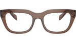 PR A06V 17O1O1 Brown