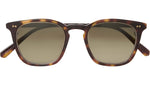 Getty II S Honu Tortoise