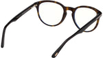 FT5556-B 052 Dark Havana